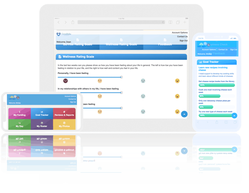 flowpoint ndis mobile iPad iPhone goals small screens